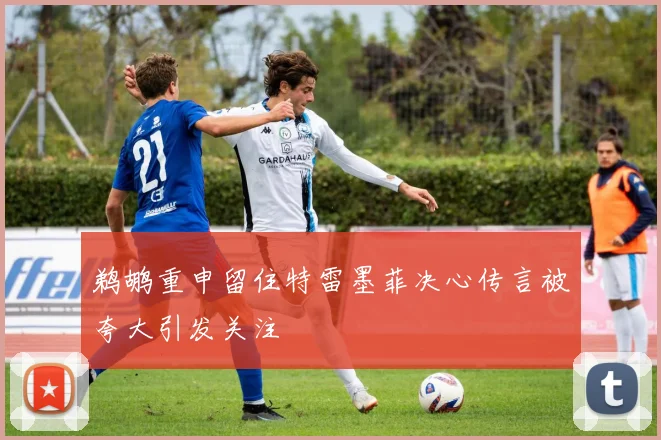 鹈鹕重申留住特雷墨菲决心传言被夸大引发关注