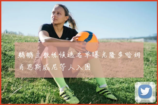 鹈鹕主教练候选名单曝光隆多哈姆肖恩斯威尼等人入围